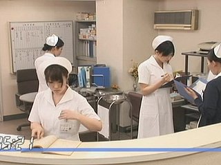 Nurse